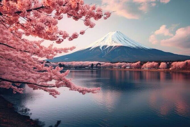 Full Day Private Tour of Mt Fuji - How Private Pickup Makes This Mt. Fuji Day Feel Easier