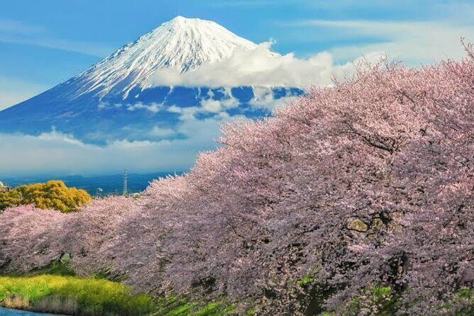 Full Day Private Tour of Mt Fuji - Fuji-Q Highland: A Fun-Heart Stop near the Base