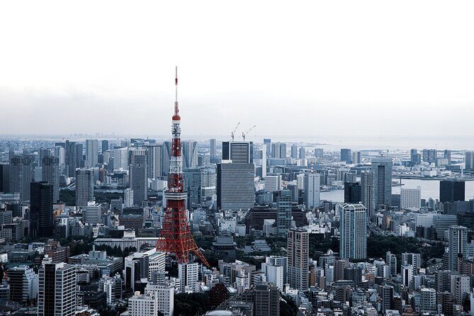 Full-Day Private Tour to Discover The Best of Tokyo - Akihabara Electronics and Anime: Short Walk, Big Personality