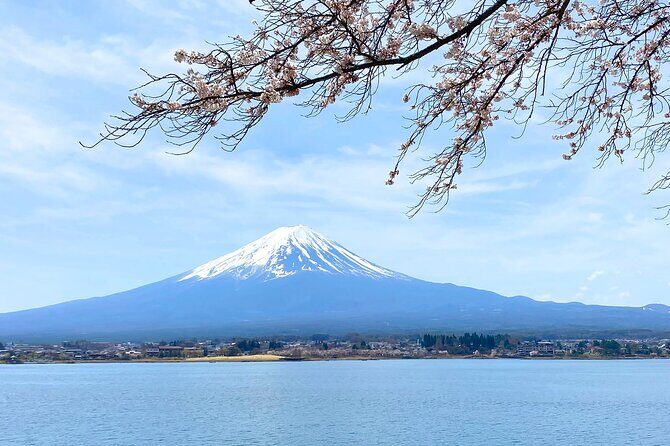 Full Day Private Tour to Mt Fuji by Luxury Vehicle - Houtou at Houtou Fudou: Thick Noodles and Local Reasoning