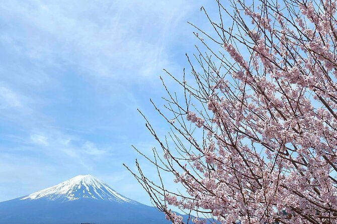 Full Day Private Tour to Mt Fuji by Luxury Vehicle - Saiko Iyashi no Sato Nemba: Traditional Houses by Lake Saiko