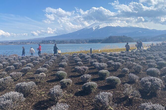Full Day Private Tour to Mt Fuji by Luxury Vehicle - Lake Kawaguchiko: Your Best Shot at the Iconic Fuji View