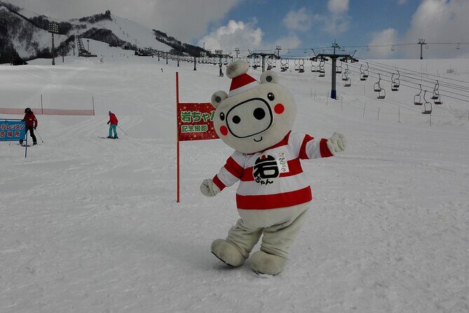 Full Day Ski Lesson (6 hours) in Yuzawa, Japan - Private coaching at Iwappara: what makes this lesson different