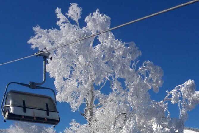 Full Day Ski Lesson (6 hours) in Yuzawa, Japan - How private lessons handle different skill levels
