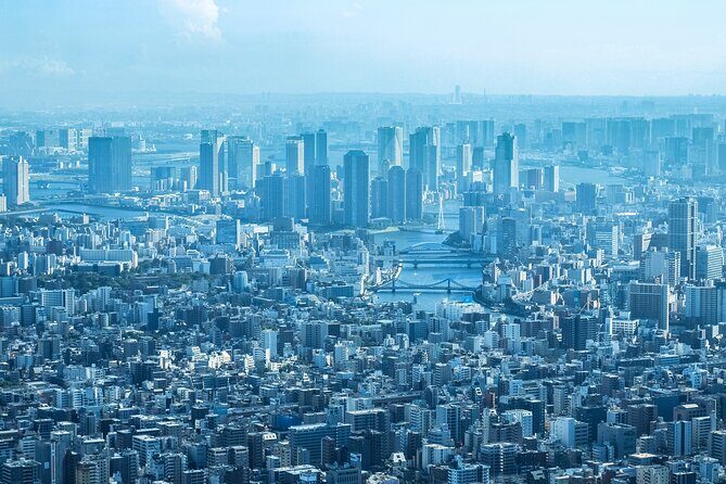 Full Day Tokyo Private Tour by Luxury Vehicle - Meiji Jingu Shrine: the forest break Tokyo always needs