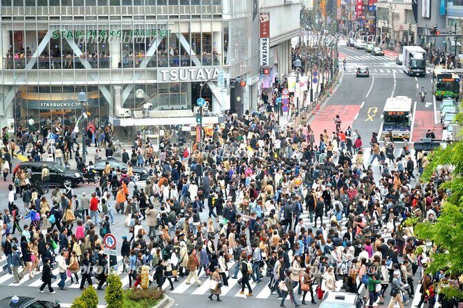 Full Day Tokyo Tour, From/To Tokyo,Yokohama, Narita, 2- 12 guests - Imperial Palace: time your visit around openings