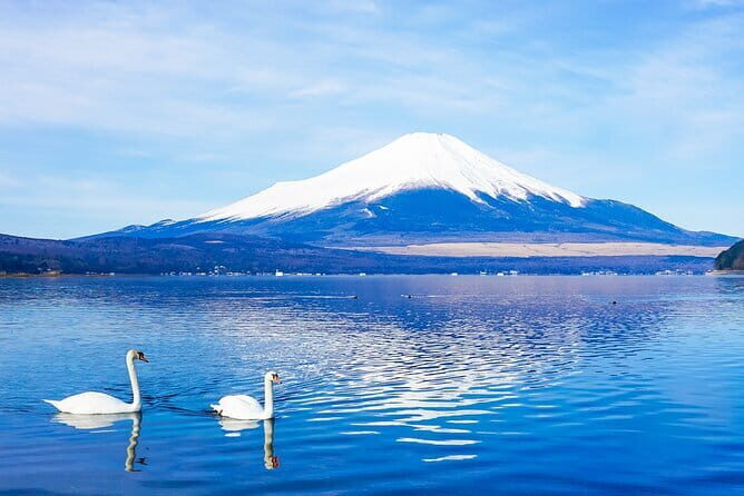 Full Day Tour at Mt. Fuji, Onsen, Lake Kawaguchi and Yamanaka - Key things I’d watch before you go