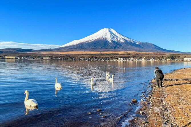 Full Day Tour at Mt. Fuji, Onsen, Lake Kawaguchi and Yamanaka - Lake Yamanaka: swan lake atmosphere plus an onsen or a boat ride
