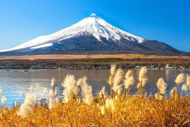 Full Day Tour at Mt. Fuji, Onsen, Lake Kawaguchi and Yamanaka - Seasonal planning: Arakurayama Sengen Park vs Mt Fuji 5th Station