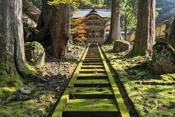 Full Day Tour Eiheiji Buddhist Temple and Fukui City Castle Town - Key Points You Should Know Before You Go