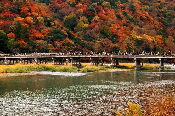 Full Day Tour of Kyoto with Private Transportation - Arashiyama Bamboo Grove: the walk that feels unreal