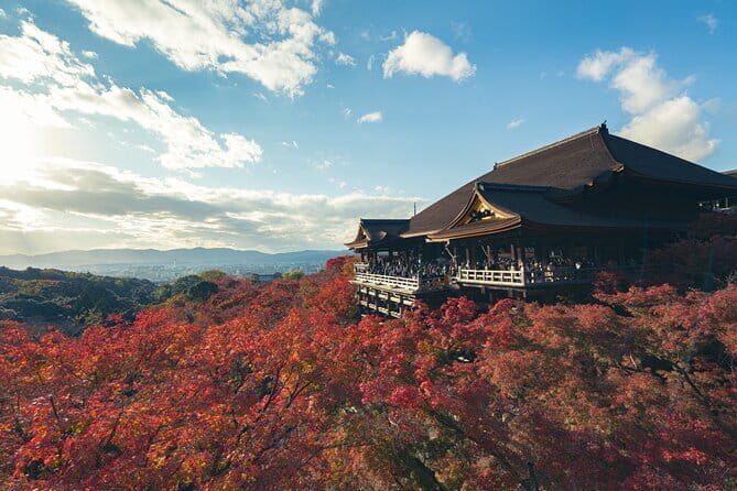 Full Day Tour of Kyoto with Private Transportation - Kiyomizu-dera Temple: the hillside views that make you stop