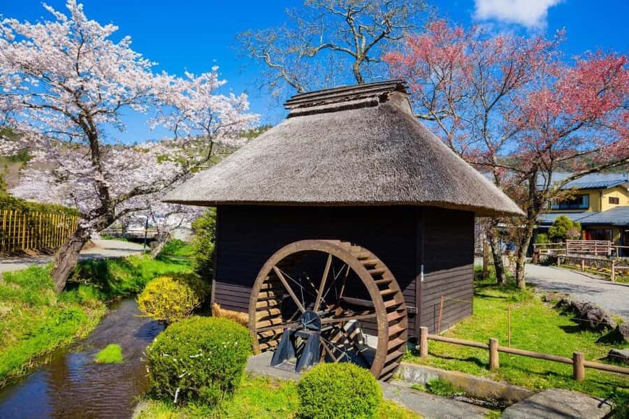 Full-Day Tour to the Picturesque Spots of Mount Fuji - Key Points Worth Knowing