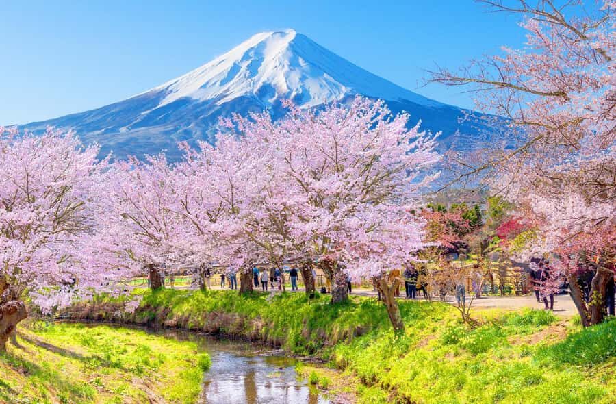 Full-Day Tour to the Picturesque Spots of Mount Fuji - How the Full-Day Mount Fuji Route Actually Works From Tokyo