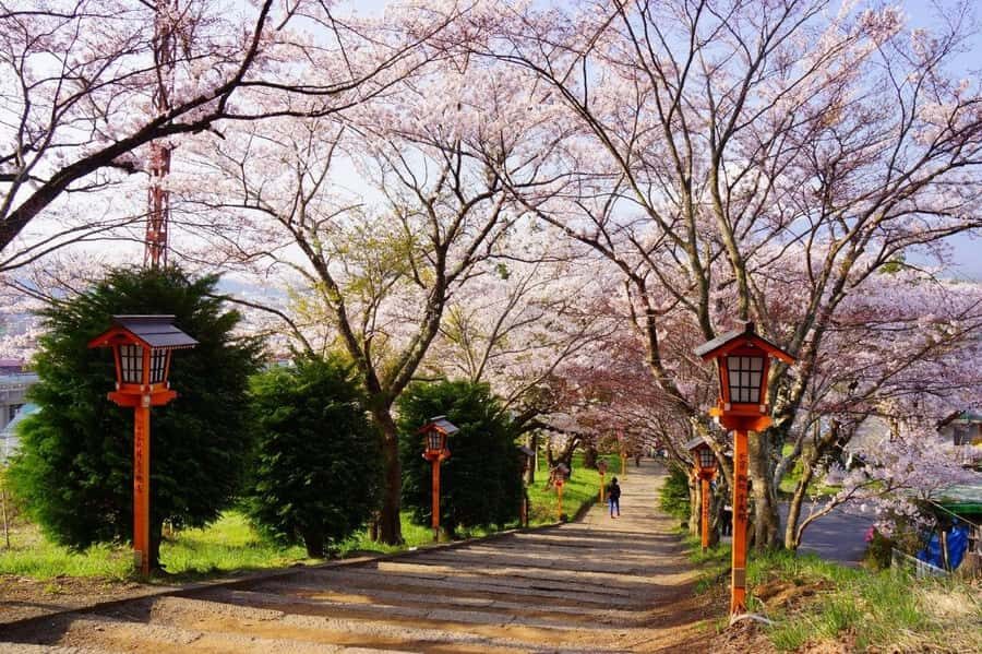 Full-Day Tour to the Picturesque Spots of Mount Fuji - Weather, Visibility, and the Art of Not Being Too Attached to One Photo