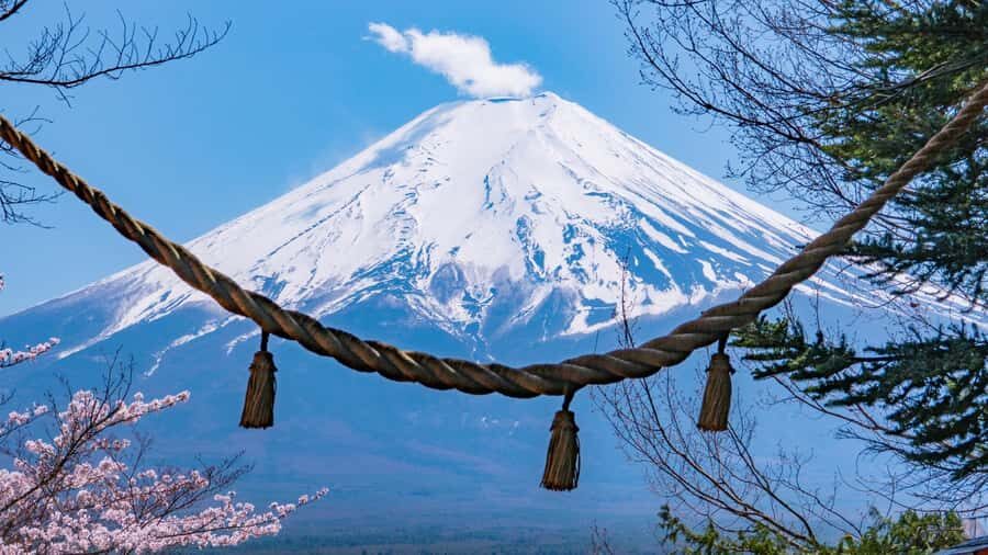 Full-Day Tour to the Picturesque Spots of Mount Fuji - Lunch Reality: Budget for Food, and Don’t Get Tricked by Extra Ride Fees