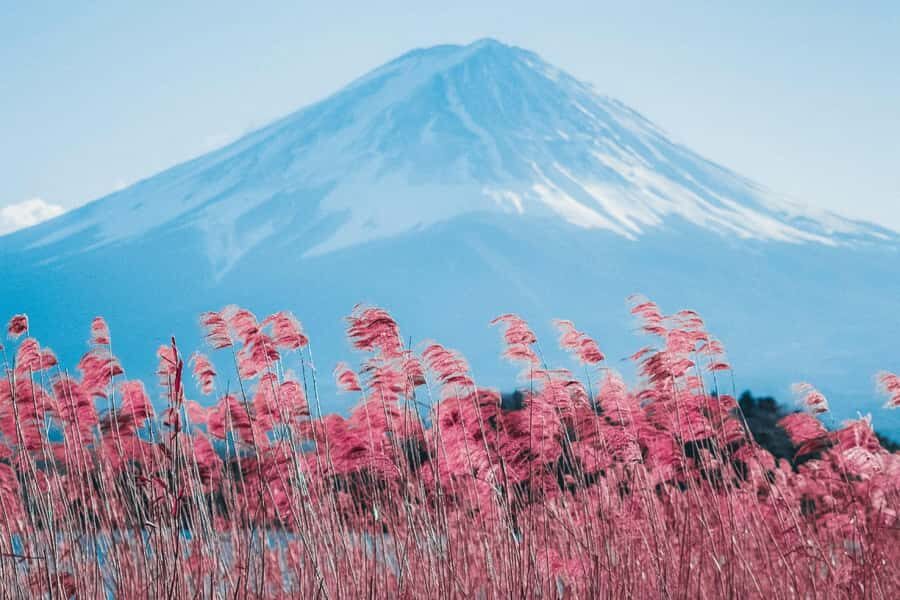 Full-Day Tour to the Picturesque Spots of Mount Fuji - Saiko Iyashi-no-Sato Nenba: Thatched Roofs, Craft Traditions, and Fuji Framing