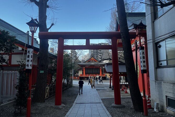 Full Day Walking Tour in Shinjuku and Shibuya - Getting around: public transport without the chaos