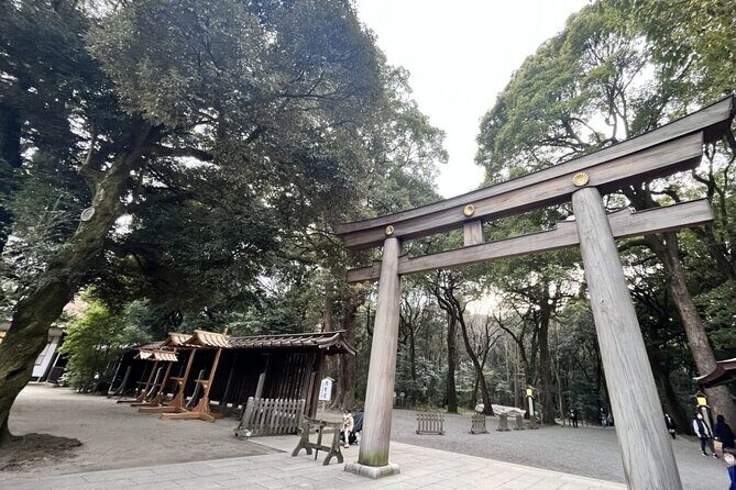 Full Day Walking Tour in Shinjuku and Shibuya - Price and value: is $165.19 worth it?