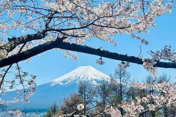 Full Guided Mt. Fuji & Hakone Attractive Private Day Tour - Private-Day Comfort From Tokyo Station to Hakone