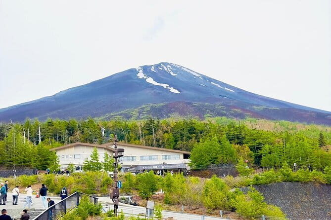 Full Guided Mt. Fuji & Hakone Attractive Private Day Tour - Hakone Open-Air Museum: Sculpture, Picasso, and a View Tower