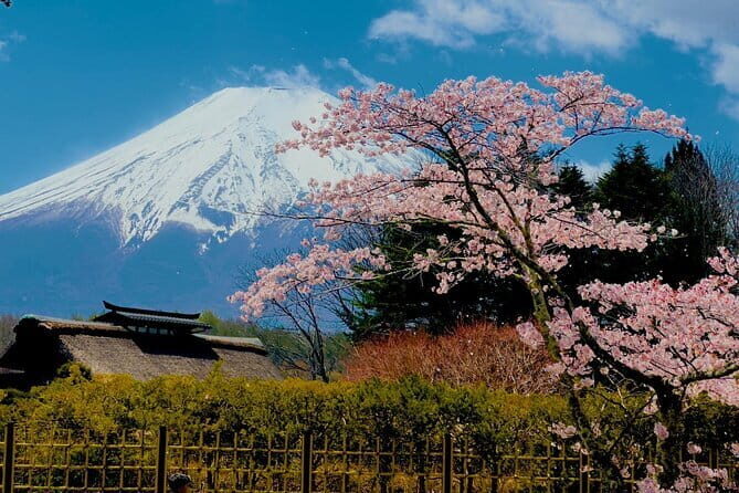 Full Guided Mt. Fuji & Hakone Attractive Private Day Tour - Chureito Pagoda and Oishino Hakkai Time Near Fuji