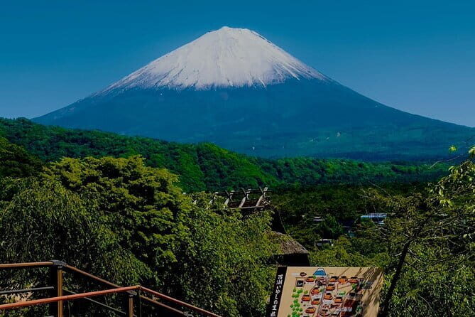 Full Guided Mt. Fuji & Shiba-Sakura Festival One Day Pvt.Tour - Key highlights at a glance