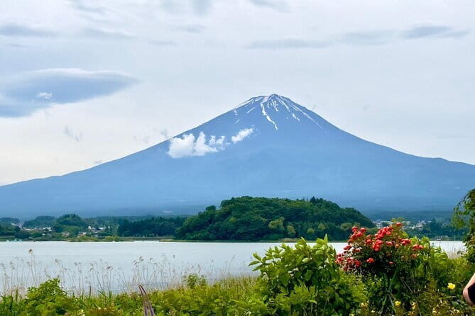 Full Guided Mt. Fuji & Shiba-Sakura Festival One Day Pvt.Tour - A private Mt. Fuji day trip that actually fits your schedule