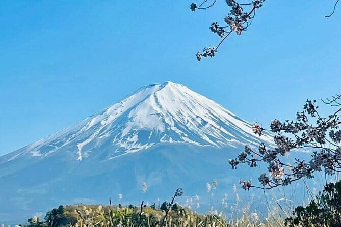 Full Guided Mt. Fuji & Shiba-Sakura Festival One Day Pvt.Tour - Stop 2: Chureito Pagoda and Arakura Sengen Shrine photos