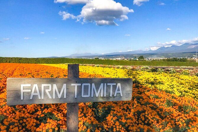 Furano & Biei 6 hour Tour: English Speaking Driver only, No Guide - Private English Driver for Furano and Biei Highlights