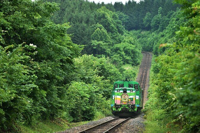 Furano & Biei 6 hour Tour: English Speaking Driver only, No Guide - Stop-by-Stop: From Farm Tomita to the Blue Pond