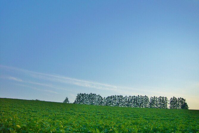 Furano Biei Tour Sapporo DEP: English Speaking Driver, No Guide - Price and value: $910.18 per group, up to four people