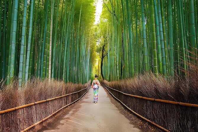 Fushimi Inari - Arashiyama: Torii Gates, Bamboo, Monkeys & Secret - The guide factor: what “small group” actually feels like