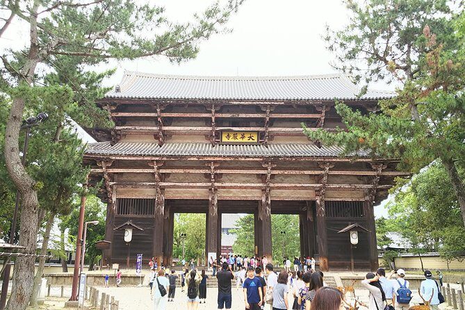 Fushimi Inari & Nara Highlights Walking Tour - The private guide effect: fewer hassles, more learning