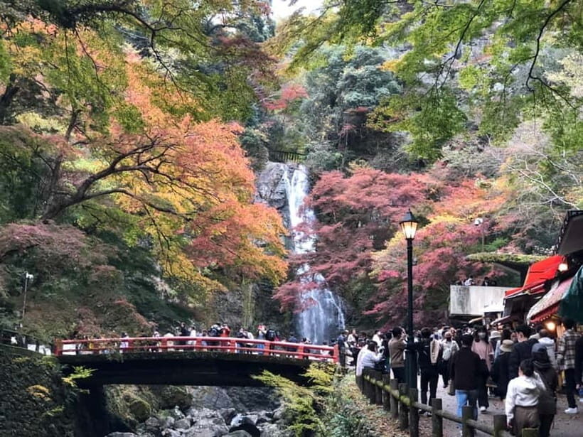 Get to know Minoo from Osaka. Katsuoji Temple, Ryuanji Waterfall and Ryuanji Temple - Key Things You’ll Notice on This Minoo Day Trip