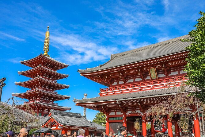 Get to know the secret of Asakusa! Shrine and Temple Tour - Private party-only tour: fewer logistics, more attention