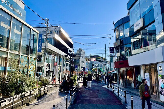Get Unique Insights into Tokyo - Private Tour with local Guide - Akihabara: From Post-War Radio Parts to Pop Culture Shopping