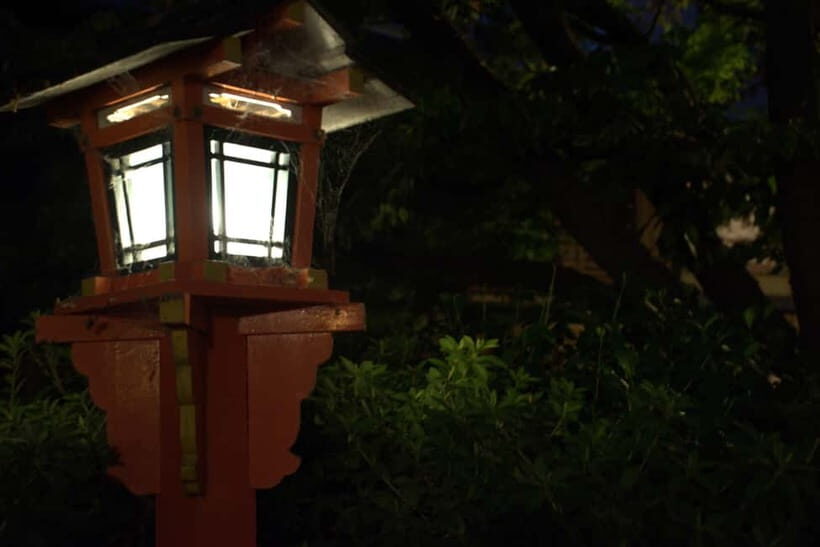 Gion Night Walk:Discover Geisha Culture in Kyoto - The current situation of geisha—and the etiquette that protects the magic