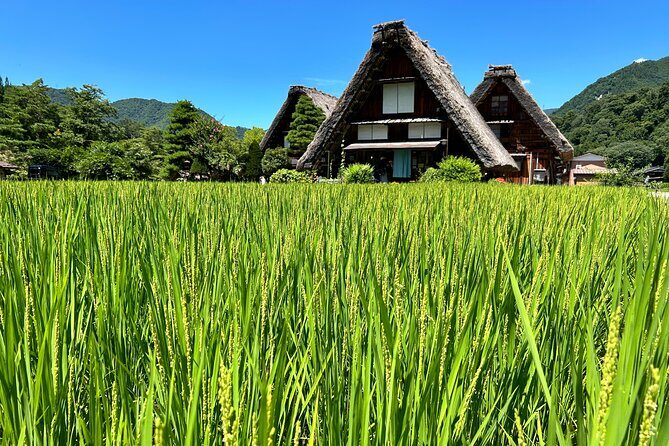 Gokayama and Shirakawago (UNESCO Heritage) Small Group(Max 9) - Gokayama vs Shirakawago: Two UNESCO vibes, one calm itinerary