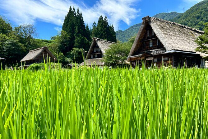 Gokayama and Shirakawago (UNESCO Heritage) Small Group(Max 9) - Shirakawago UNESCO village: the headline visit, done human-style