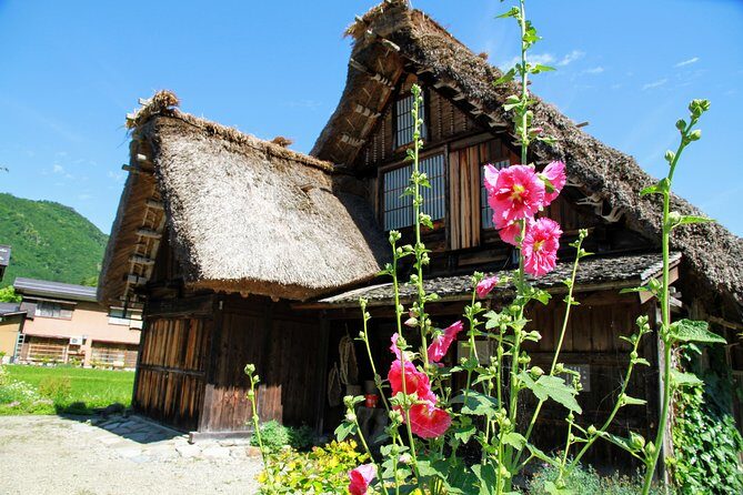 Gokayama and Shirakawago (UNESCO Heritage) Small Group(Max 9) - Pace, timing, and what to wear (so you enjoy the walk)
