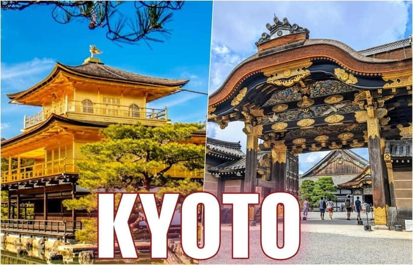 Golden Pavilion, Nijo Castle, & Nishiki Market Half day tour - Nijo Castle: Samurai Politics You Can Walk Through