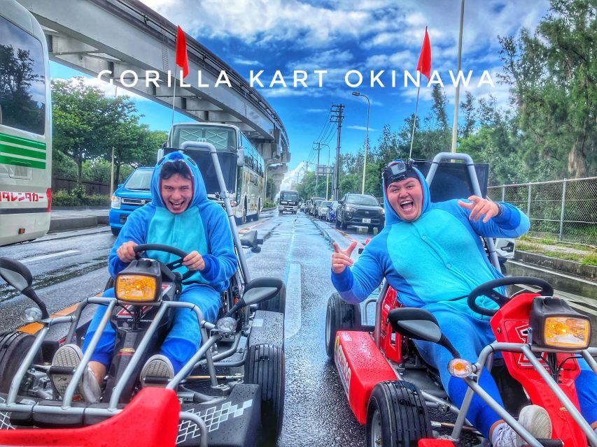 Gorilla Kart Tour-Plenty of Time Slots|Many Great Views - The driving rules: international permits, translations, and shoe limits