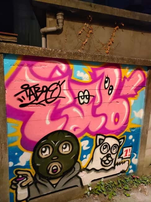 Graffiti in Tokyo Walking Tour: Shibuya and Harajuku - Price and value for $38: what you’re really buying
