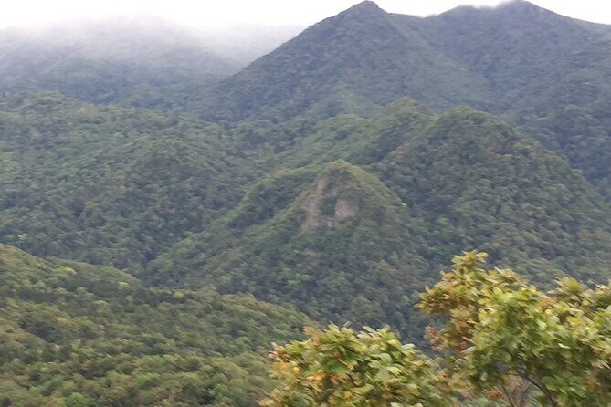 Green Season Half Day Hikes in Sapporo and Hokkaido with Onsen - The Guide Factor: How Chris Makes the Route Feel Personal