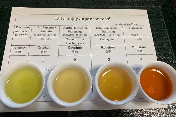 Guided Bike Tour to a Green Tea Farm in Shizuoka (not e-bikes) - Key highlights you’ll care about