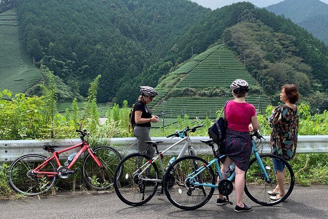 Guided Bike Tour to a Green Tea Farm in Shizuoka (not e-bikes) - The tea farm visit: farmer explanations, photos, and a 150-year-old house
