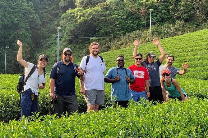 Guided Bike Tour to a Green Tea Farm in Shizuoka (not e-bikes) - Option A vs Option B: choose your tasting style before you go