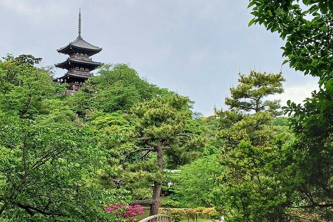 Guided History & Nature Exploration in the Yokohama Hill Area - Yamate Bluff and the Foreign General Cemetery: Where Yokohama’s “First Contact” Shows Up
