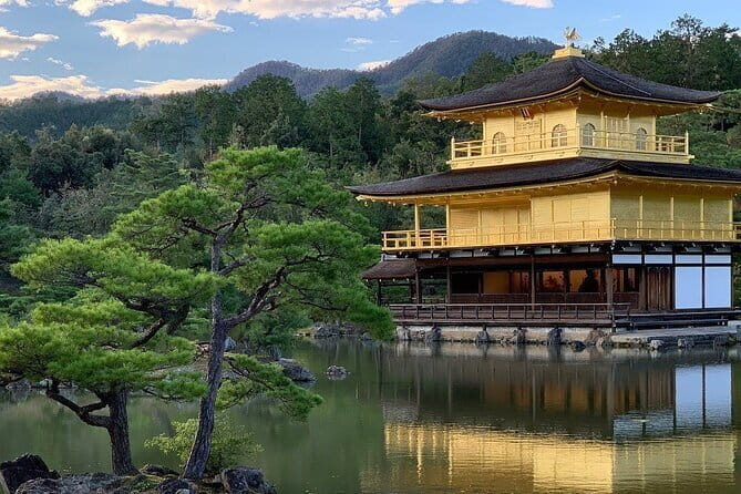 Guided Kyoto City Cherry Blossom One Day Private Tour - Kyoto in 8 hours: what this private plan really buys you